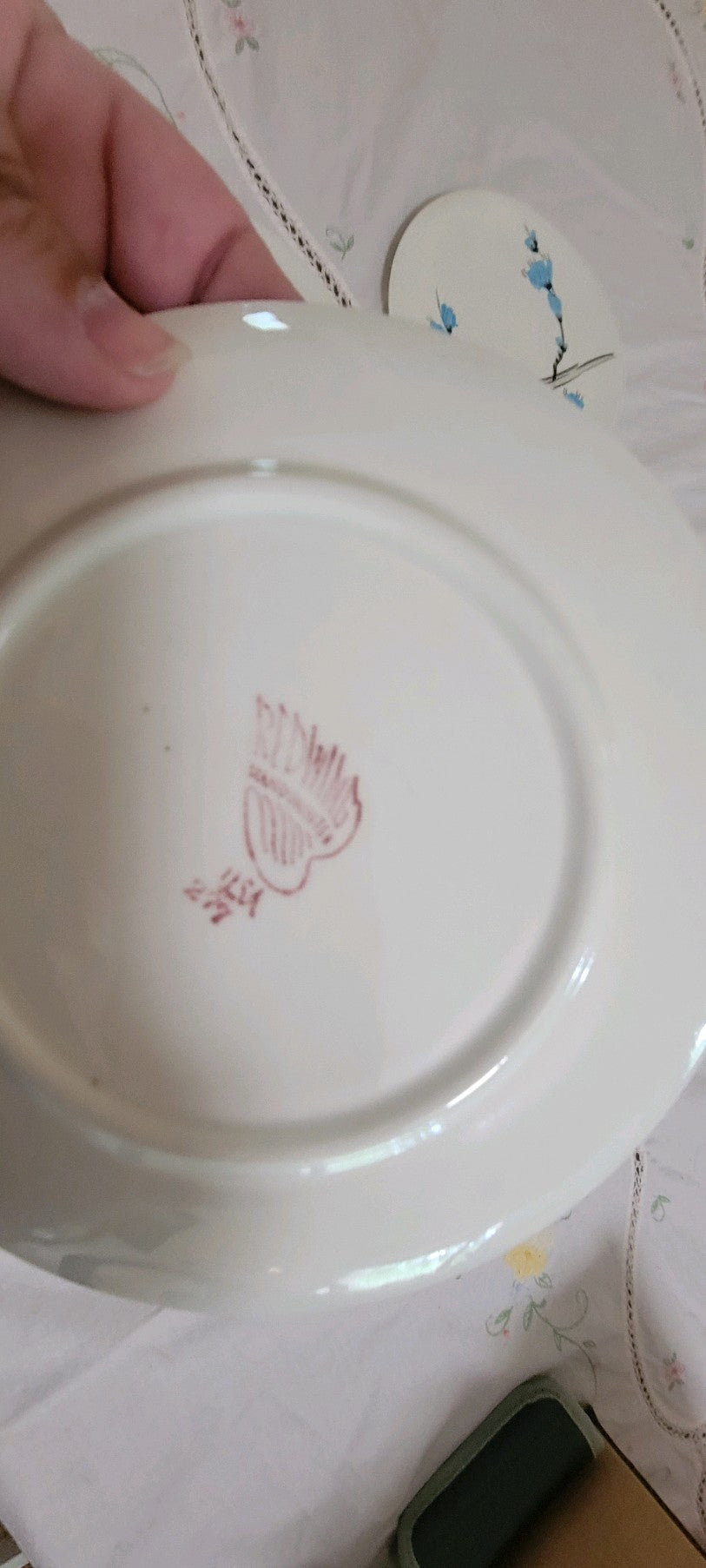 Redwing Pottery Plates/Cups