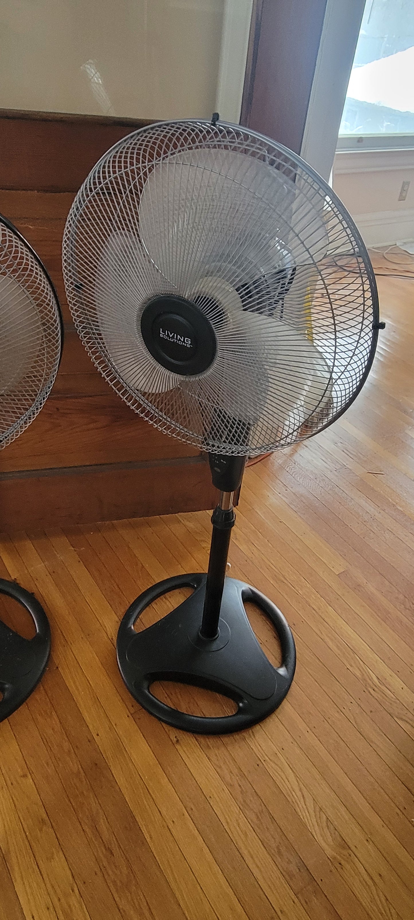 Fan